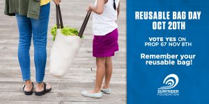 reusable-bag-day_twitter-03