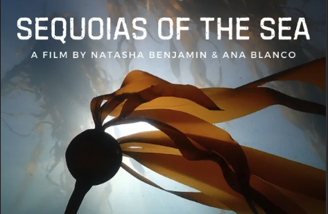 Screenshot 2026-03-30 at 6.30.10 PM