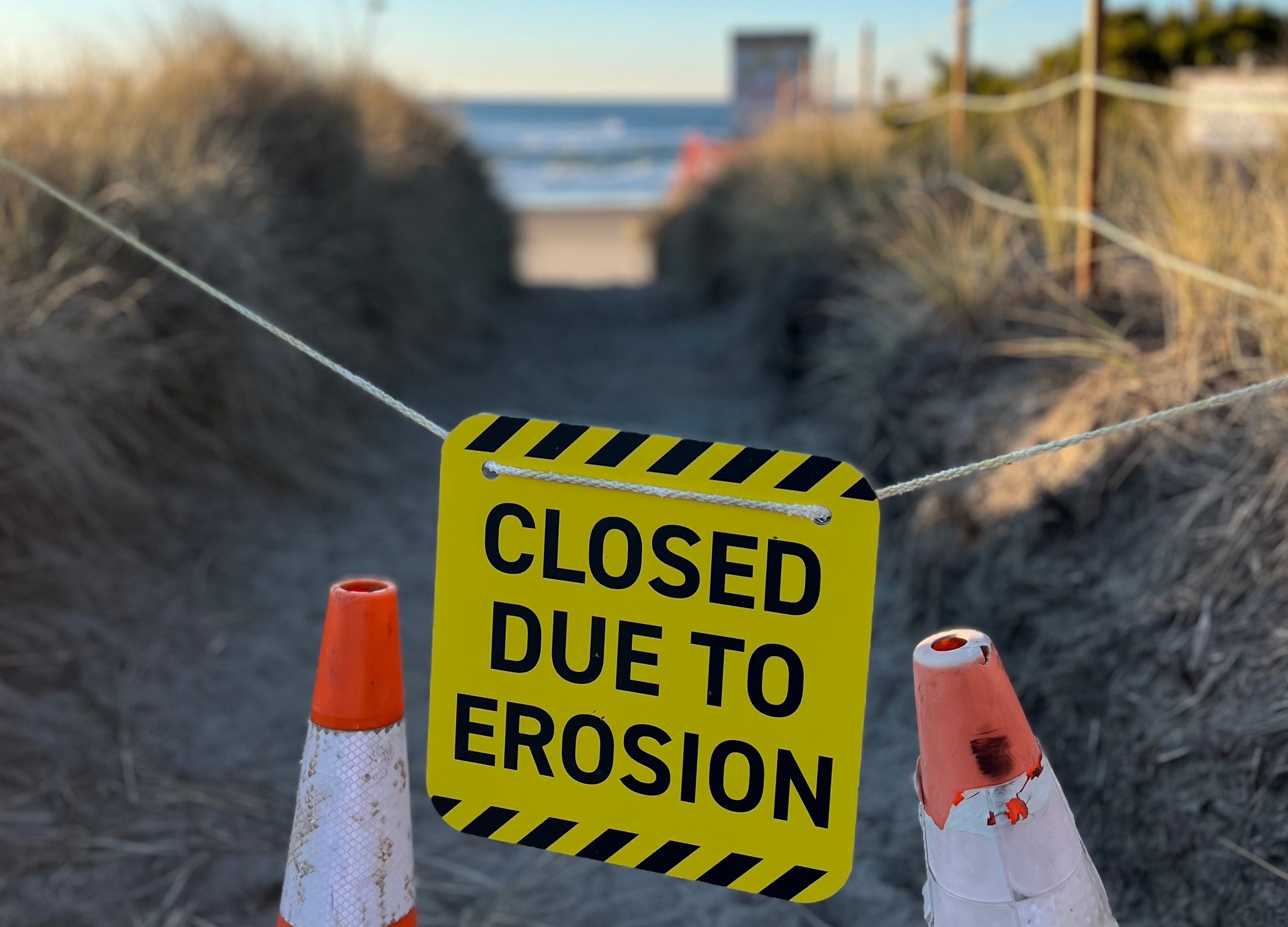 Nature First for Oregon's Beaches